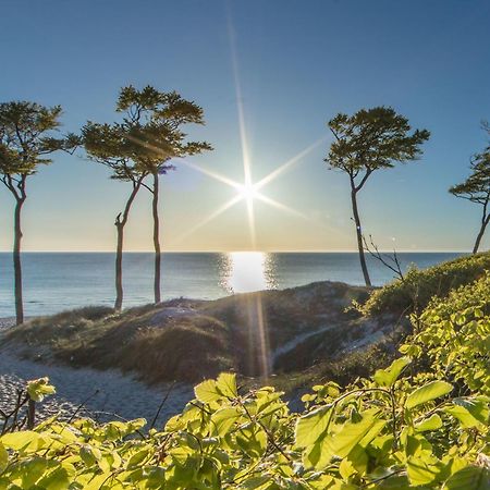 Fewo "Prerow" Dış mekan fotoğraf